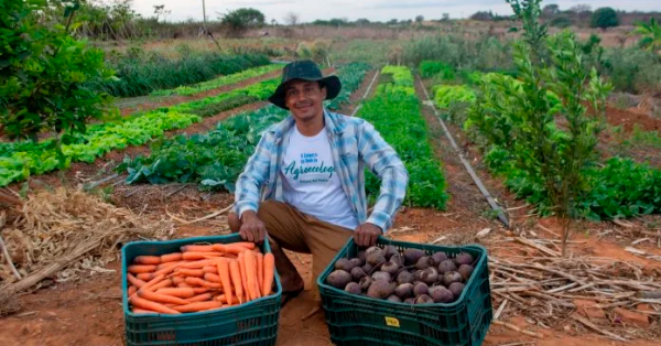 Agricultura familiar alia produção com conservação da biodiversidade