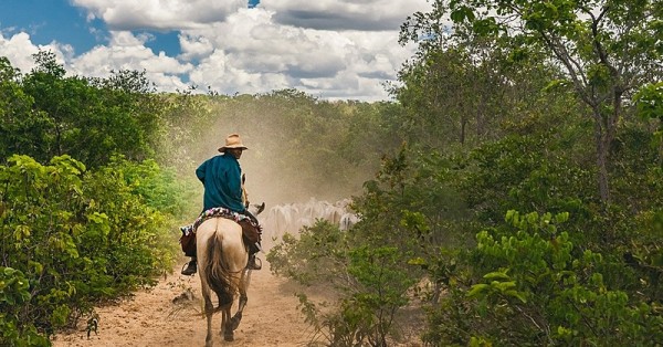 Você sabe o que são as Comunidades de Fundo e Fecho de Pasto?