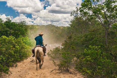 Você sabe o que são as Comunidades de Fundo e Fecho de Pasto?